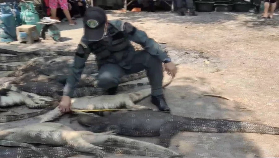 บช.ก. ยันบุกทลายโรงชำแหละตัวเงินตัวทอง ส่งร้านอาหารป่าไม่ใช่ทำลูกชิ้น