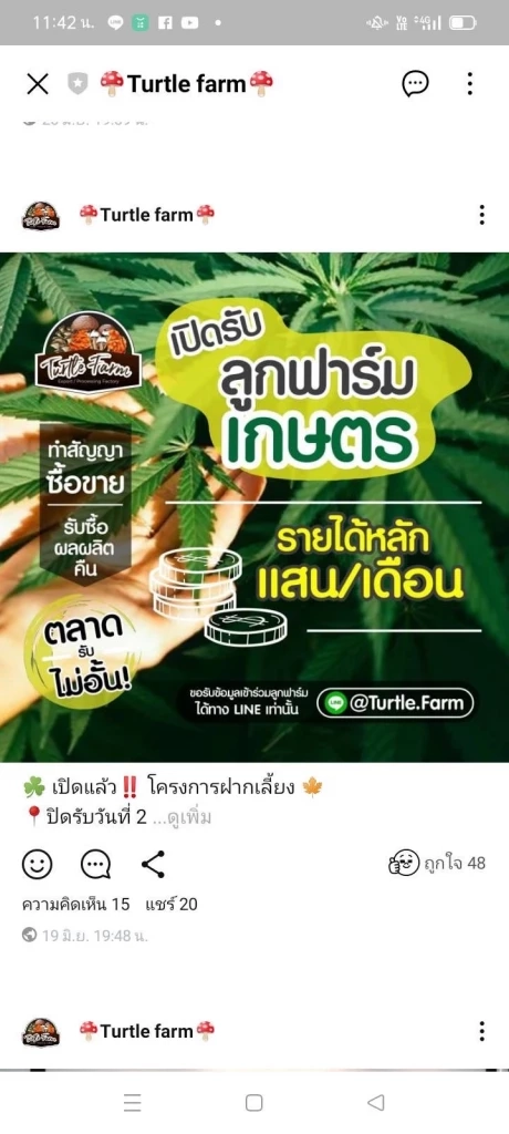 รูปแบบการหลอกลงทุน