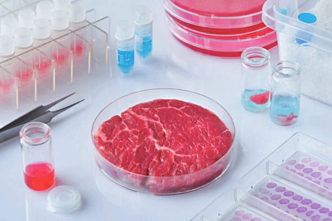 รู้จัก 'เนื้อสัตว์เทียม' อาหารแห่งอนาคต แหล่งโปรตีนแทนการทำปศุสัตว์