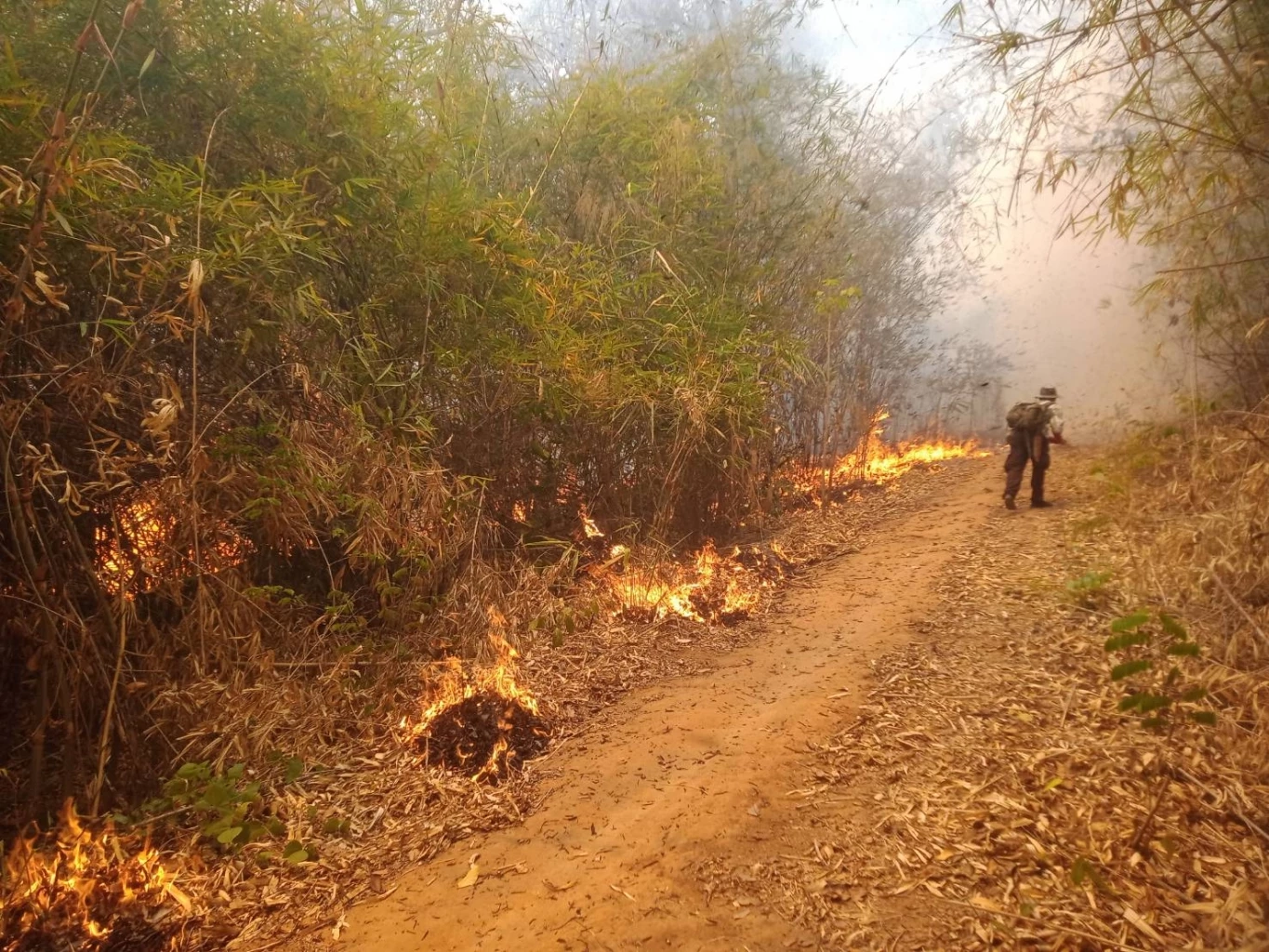 ไฟป่าพ่นพิษ อช.ภูกระดึง ออกประกาศห้ามเข้า ยกเว้นนักท่องเที่ยว