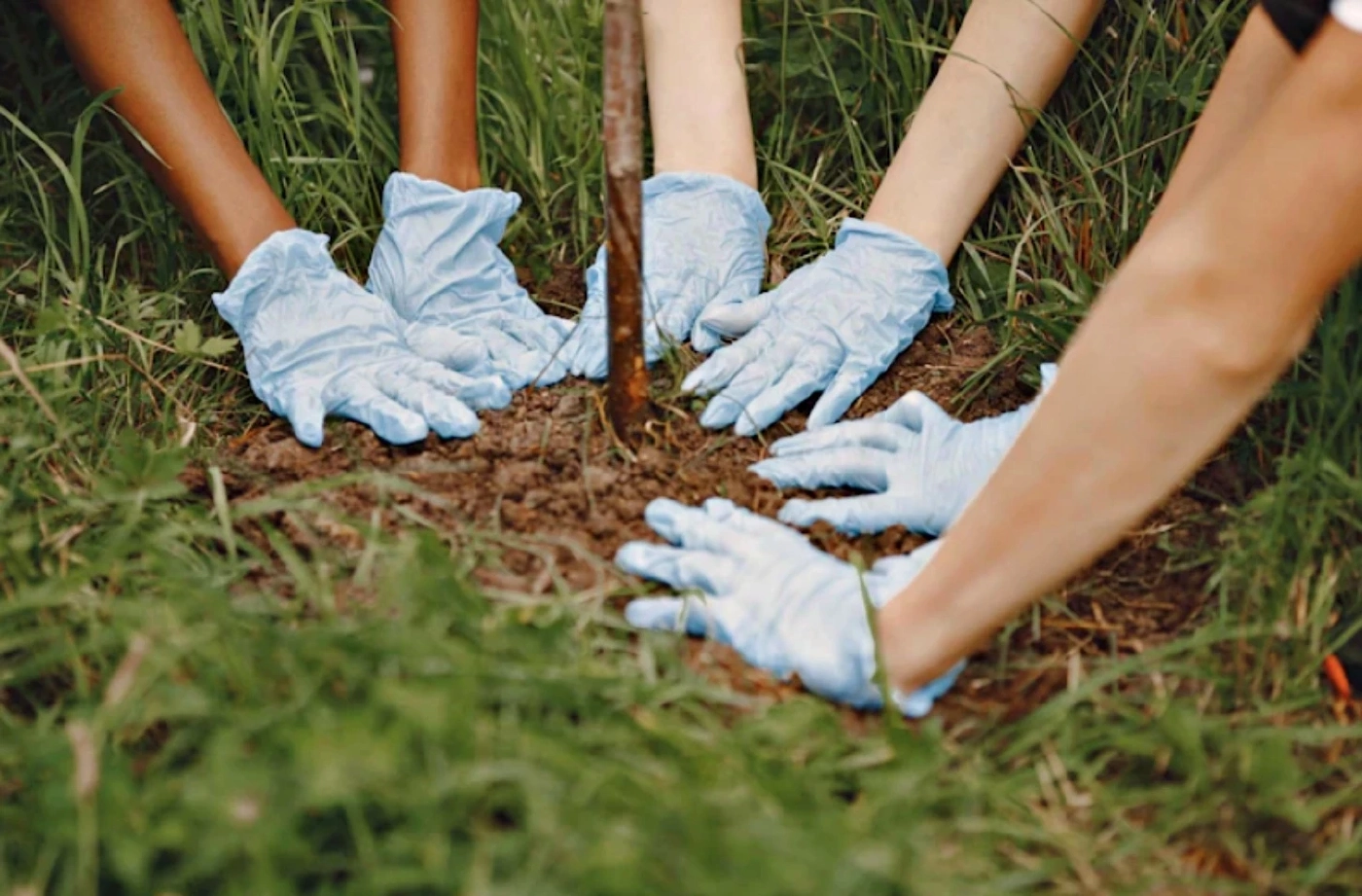 Human Composting ตายแล้วกลายเป็นปุ๋ย หนทางสู่ความยั่งยืน
