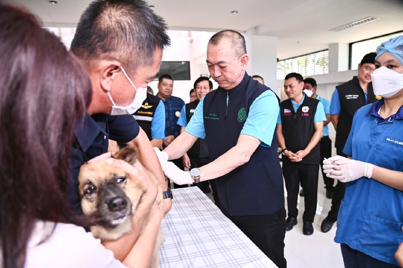 คิกออฟ ปศุสัตว์เคลื่อนที่ บริการทำหมัน ฉีดวัคซีนพิษสุนัขบ้าหมา-แมว ฟรี !