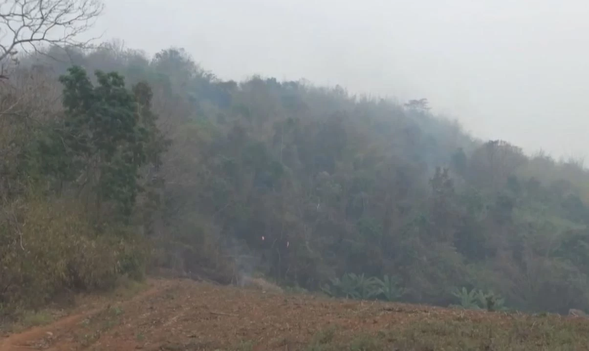 รวบหนุ่มเผาป่า ทำหวิดวอดทั้งภูเขา อ้างแค่หวังจะเอารังต่อ