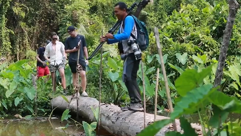 วังน้ำเขียวคึกคัก นักท่องเที่ยวสวีเดนแห่ชมผืนป่า ตื่นตาฝูงกระทิง