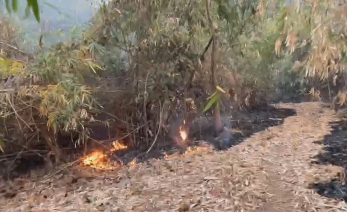 รวบหนุ่มเผาป่า ทำหวิดวอดทั้งภูเขา อ้างแค่หวังจะเอารังต่อ