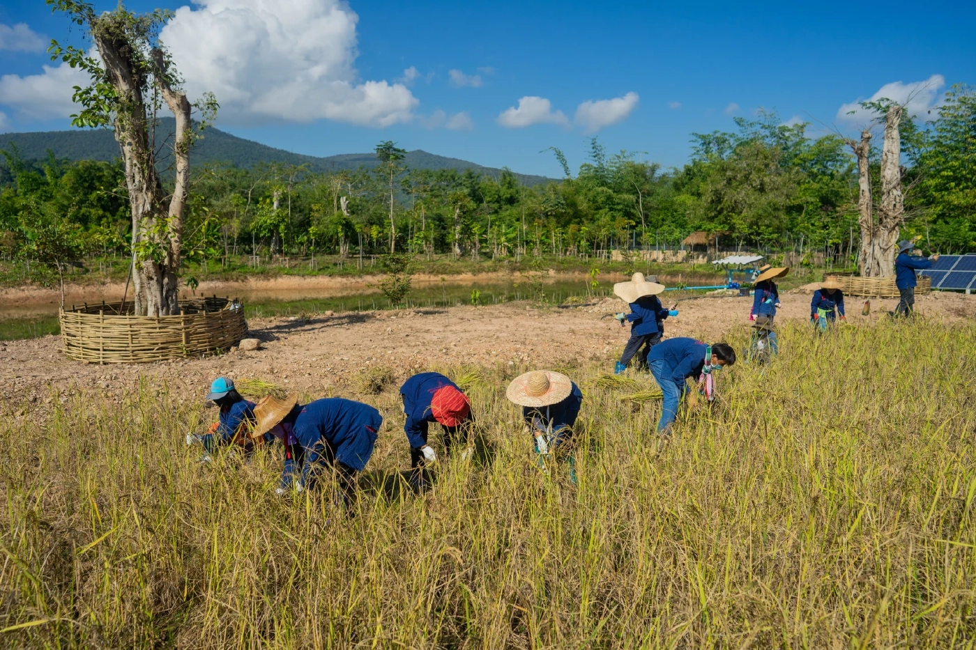 ศาสนาและธรรมชาติ ผนวกรวมกันไว้ที่ พุทธนิเวศเกษตรอินทรีย์  ไร่เชิญตะวัน