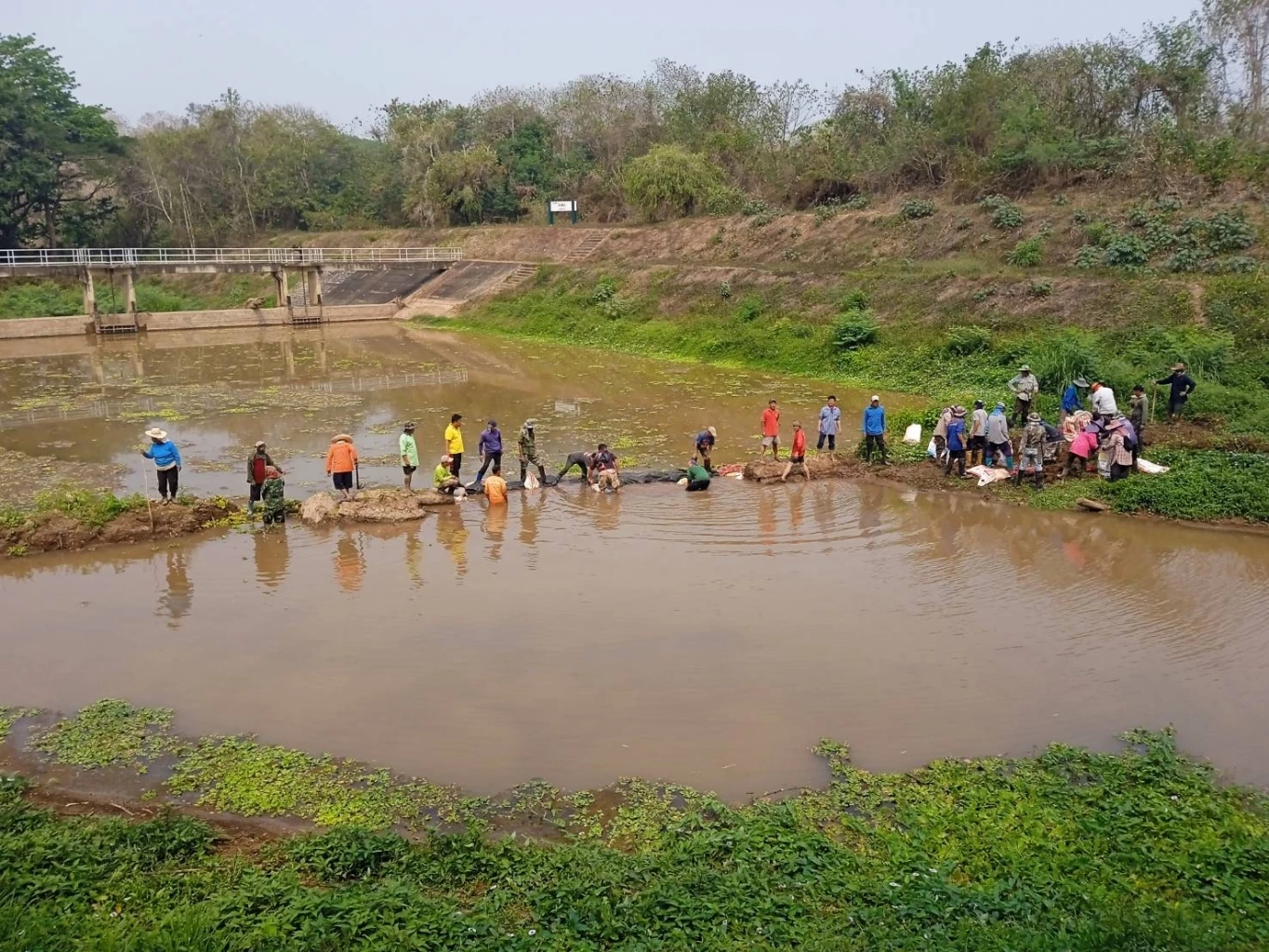 ภัยแล้งมาแล้ว น่านแล้งจัด ฝนทิ้งช่วงนาน สวนมะนาวกำลังแห้งเฉาตาย