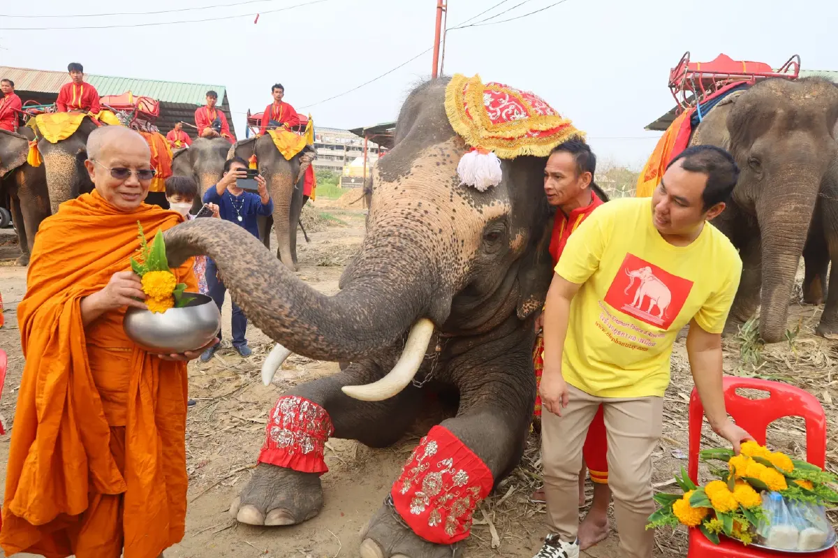 "วันช้างไทย" วังช้างอยุธยา จี้พรรคการเมืองมีนโยบายดูแล"ช้างไทย"