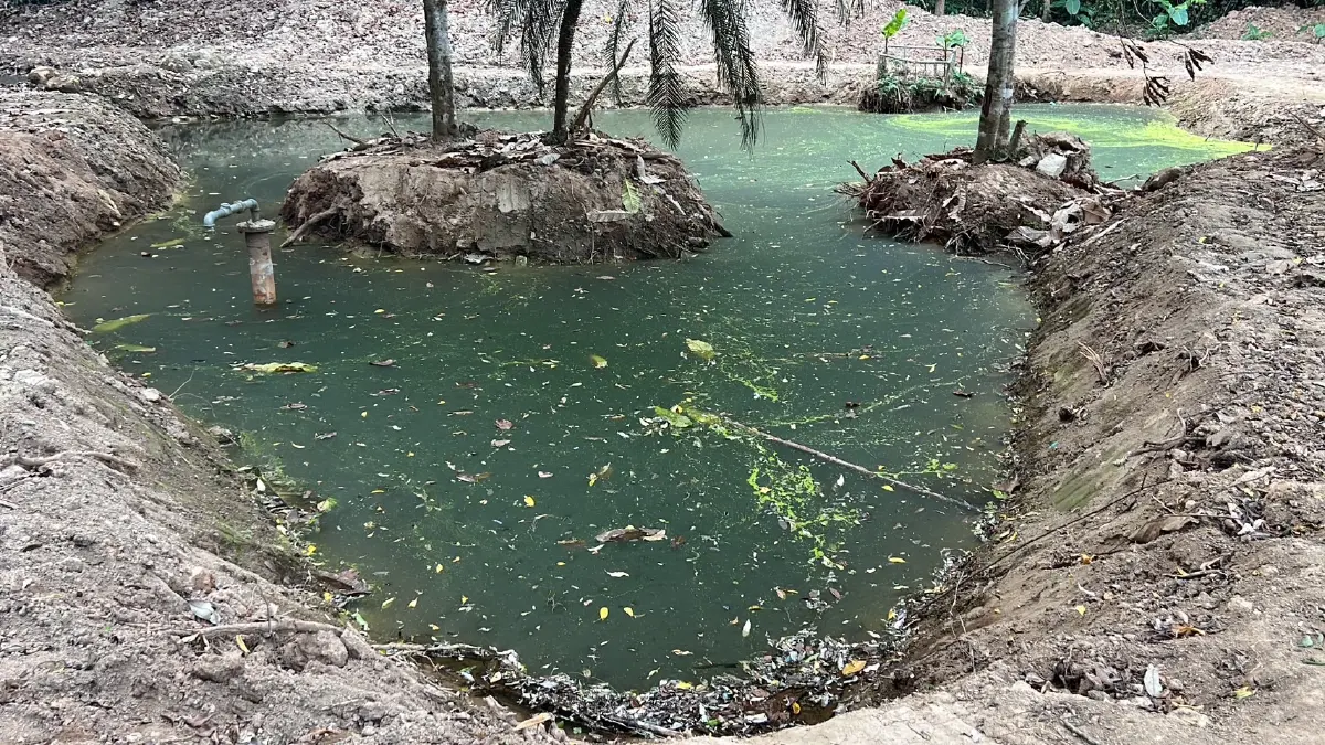 กรมอุทยานฯ แจงดราม่าขุดฝายชะลอน้ำบนดอยสุเทพ ยันทำถูกต้องทุกอย่าง