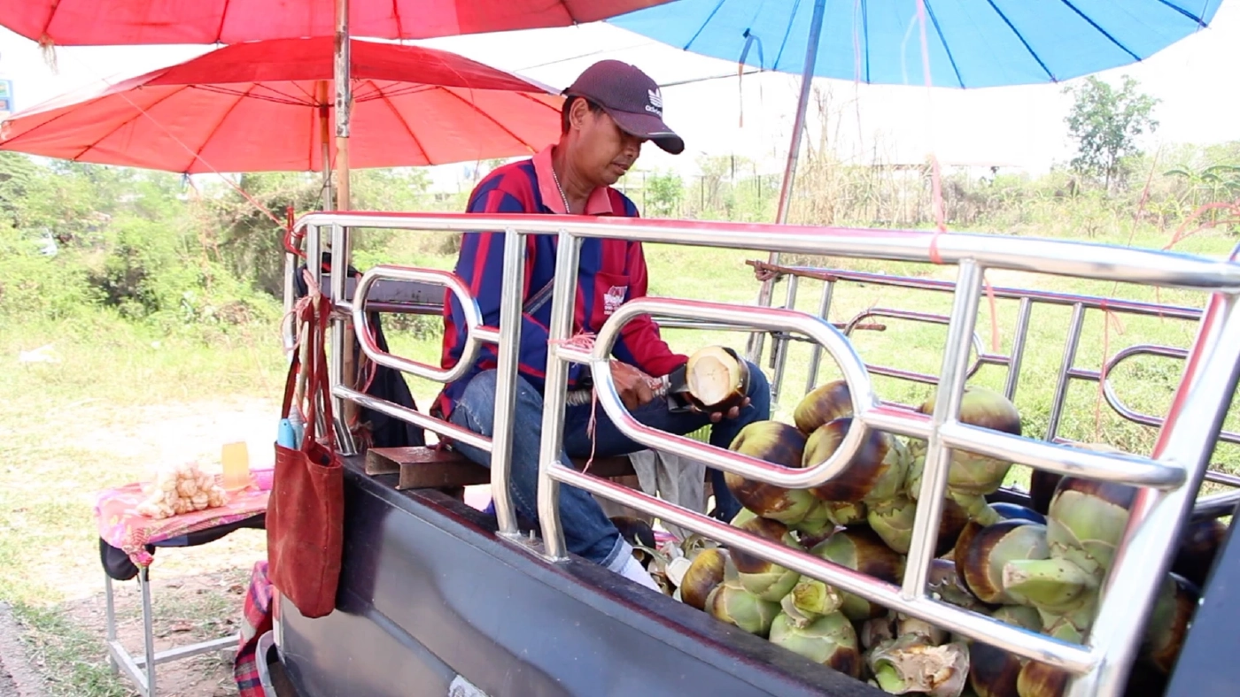อาชีพเสริม! ขายลูกตาลสดช่วงหน้าร้อน โกยรายได้ 2 หมื่นบาทต่อเดือน
