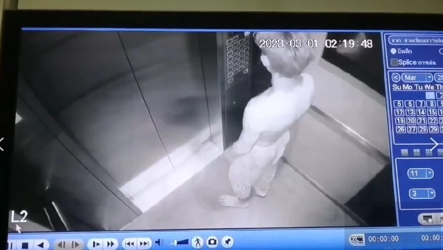 "เฌอปราง" พร้อมครอบครัว รับศพ"ฌาน" เพื่อนสนิทระบุมีปัญหากับแฟนสาว