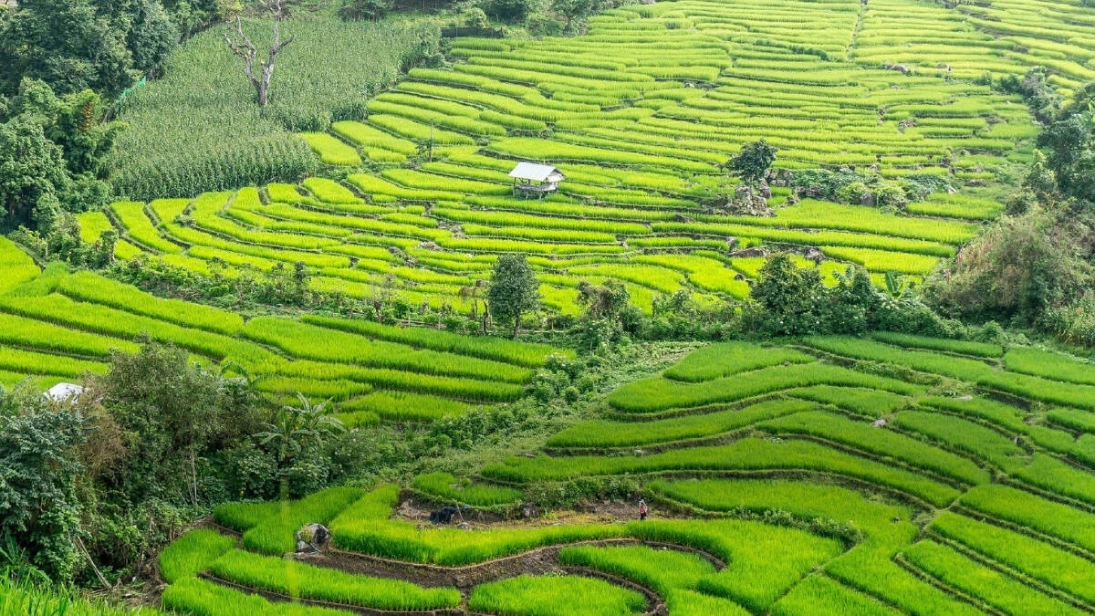 "เชียงใหม่"หลังโควิด ยุทธศาสตร์สู่เป้าหมาย"นครแห่งชีวิตและความมั่งคั่ง"