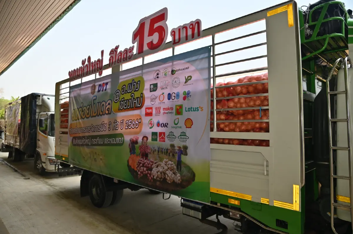 "กรมการค้าภายใน" นำผู้ประกอบเข้ารับซื้อ "หอมหัวใหญ่" อ.พร้าว ในราคานำตลาด