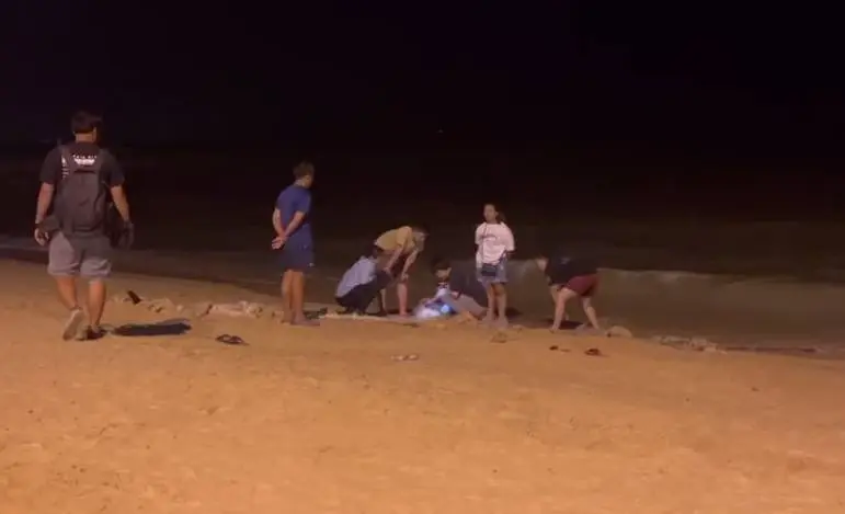 นทท.เศร้าใจ พบซากเต่าทะเลอายุกว่า 50 ปี ลอยเกยหาดพัทยา