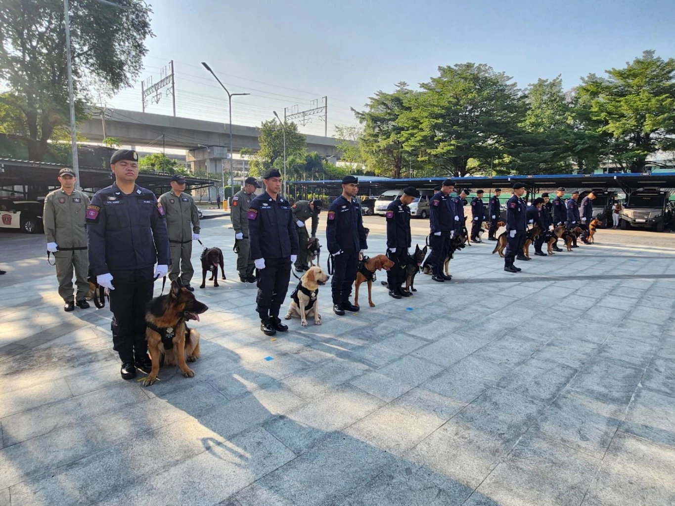 บรรยากาศสุดน่ารัก บก.สปพ. จัดพิธีประดับยศ-มอบรางวัล "สุนัขตำรวจดีเด่น"