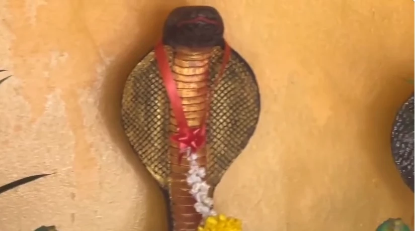 แห่ส่อง 'เลขเด็ด' พิธีไหว้ศาลพญางูยักษ์ คอหวยยิ้มได้ 2 ตัวเน้นๆ งวด1/4/66