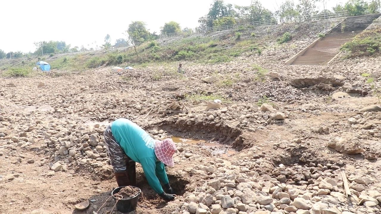 น้ำโขงแห้ง ชาวบ้านปากชม แห่ร่อนทอง สร้างรายได้งาม วันละ 1 พันบาท