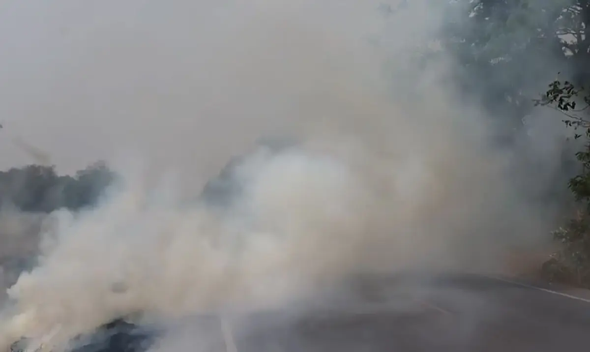 มือดีจุดไฟเผาหญ้าข้างทาง ควันปกคลุมถนนทำฝุ่น PM 2.5 พุ่ง