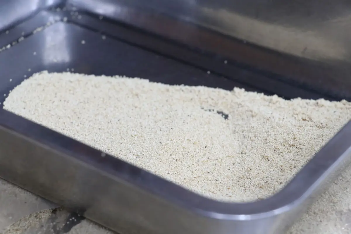 กรมศุลฯ ยึด “เมล็ดฝิ่น” 26,000 กิโลกรัม มูลค่า 30 ล้าน