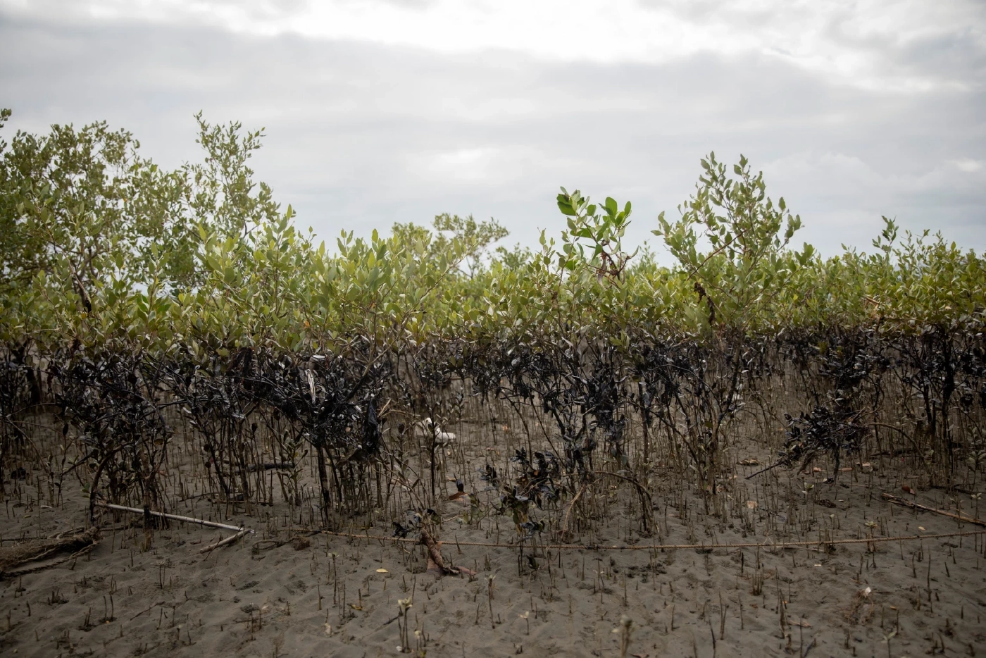 น้ำมันรั่วลงทะเลในฟิลิปปินส์ ส่งผลชาวบ้านล้มป่วย