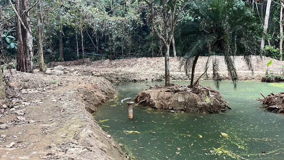 กรมอุทยานฯ แจงดราม่าขุดฝายชะลอน้ำบนดอยสุเทพ ยันทำถูกต้องทุกอย่าง