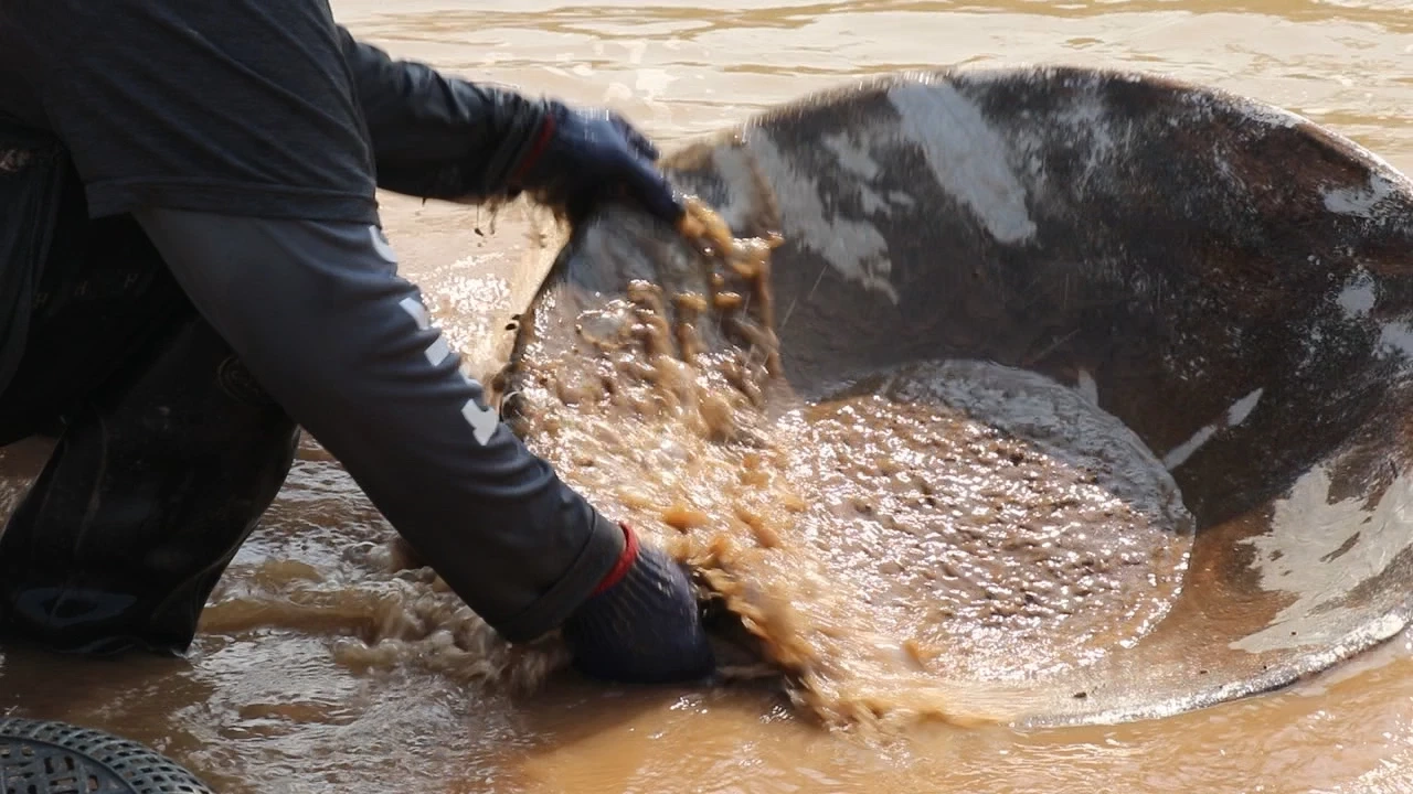 น้ำโขงแห้ง ชาวบ้านปากชม แห่ร่อนทอง สร้างรายได้งาม วันละ 1 พันบาท