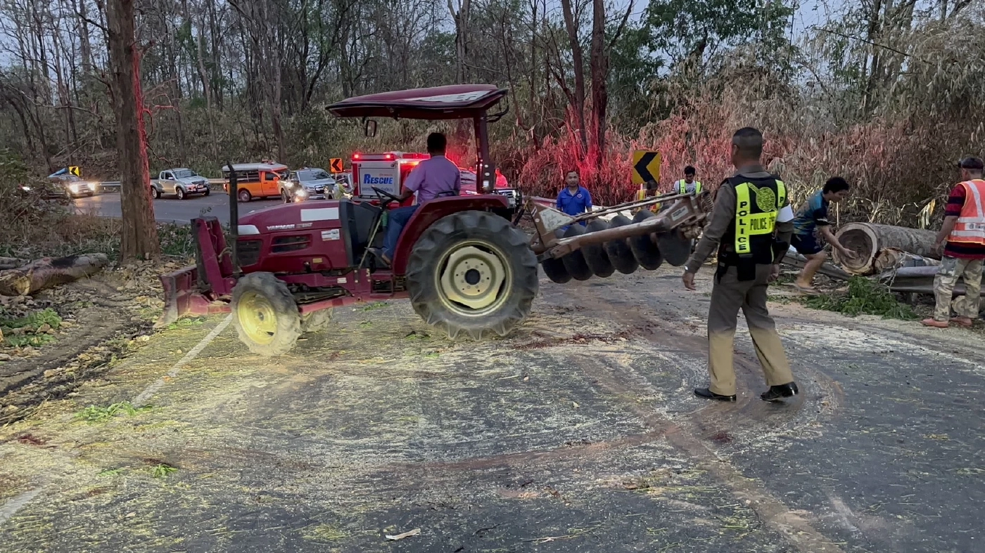 มือดีเผาป่า ไฟลามติดต้นไม้ใหญ่ จนล้มขวางถนน ทำรถติดยาวเกือบ 4 กม.