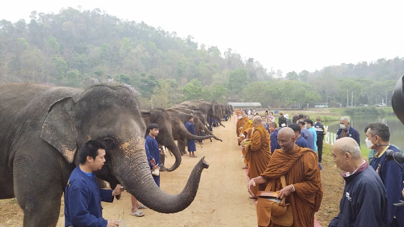 ศูนย์อนุรักษ์ช้างไทยลำปาง ทำบุญ“วันช้างไทย”ให้ช้าง-ควาญช้างที่ล่วงลับ