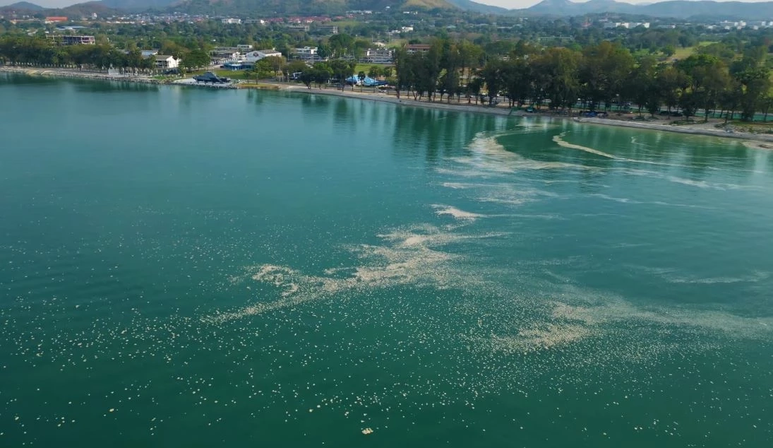 ฮือฮา "ปรากฏการณ์ดินทรายลอยทะเล" ลอยทั่วอ่าวดงตาลสัตหีบ