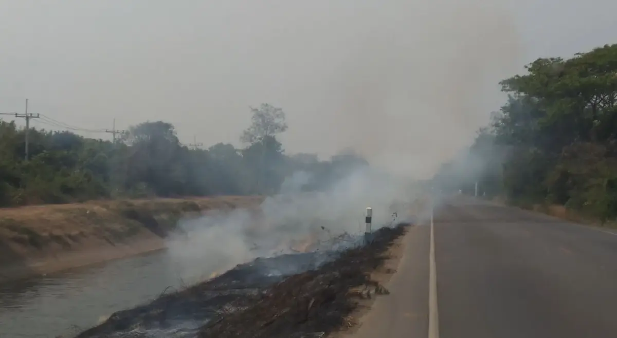 มือดีจุดไฟเผาหญ้าข้างทาง ควันปกคลุมถนนทำฝุ่น PM 2.5 พุ่ง