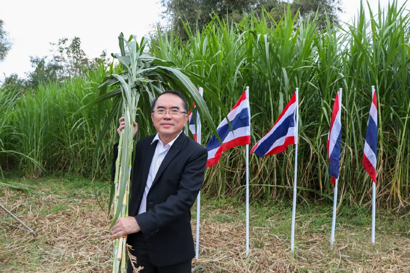 "หมอวรงค์"จรยุทธ์ทุ่งเนเปียร์ ประกาศล้มทุนผูกขาดพลังงาน-ปลดหนี้เกษตรกร