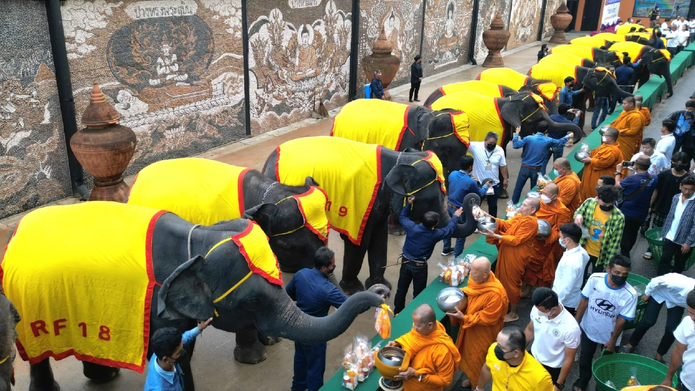 สวนนงนุชพัทยา ทำพิธีฮ้องขวัญช้าง พร้อมจัดโต๊ะจีนผลไม้ เฉลิมฉลองวันช้างไทย