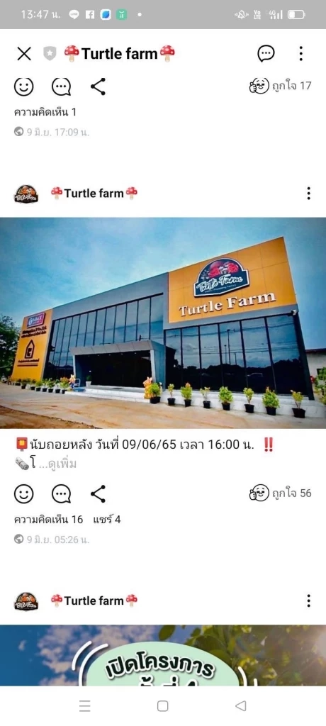 ตร.เตือนอย่าหลงเชื่อ หลอกลงทุน Turtle Farm พบหลอกเหยื่อเสียหาย 2,000 ล้าน