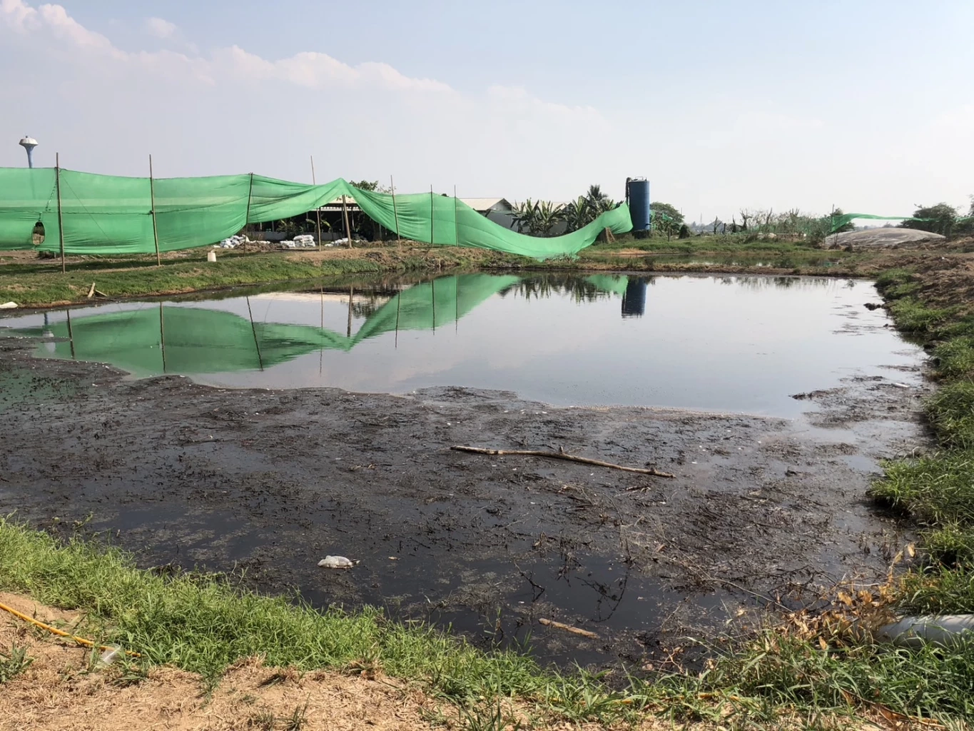 ชาวบ้านสุดทน ร้องเหม็นขี้ไก่ทั้งวันทั้งคืน กินไม่ได้นอนไม่หลับ