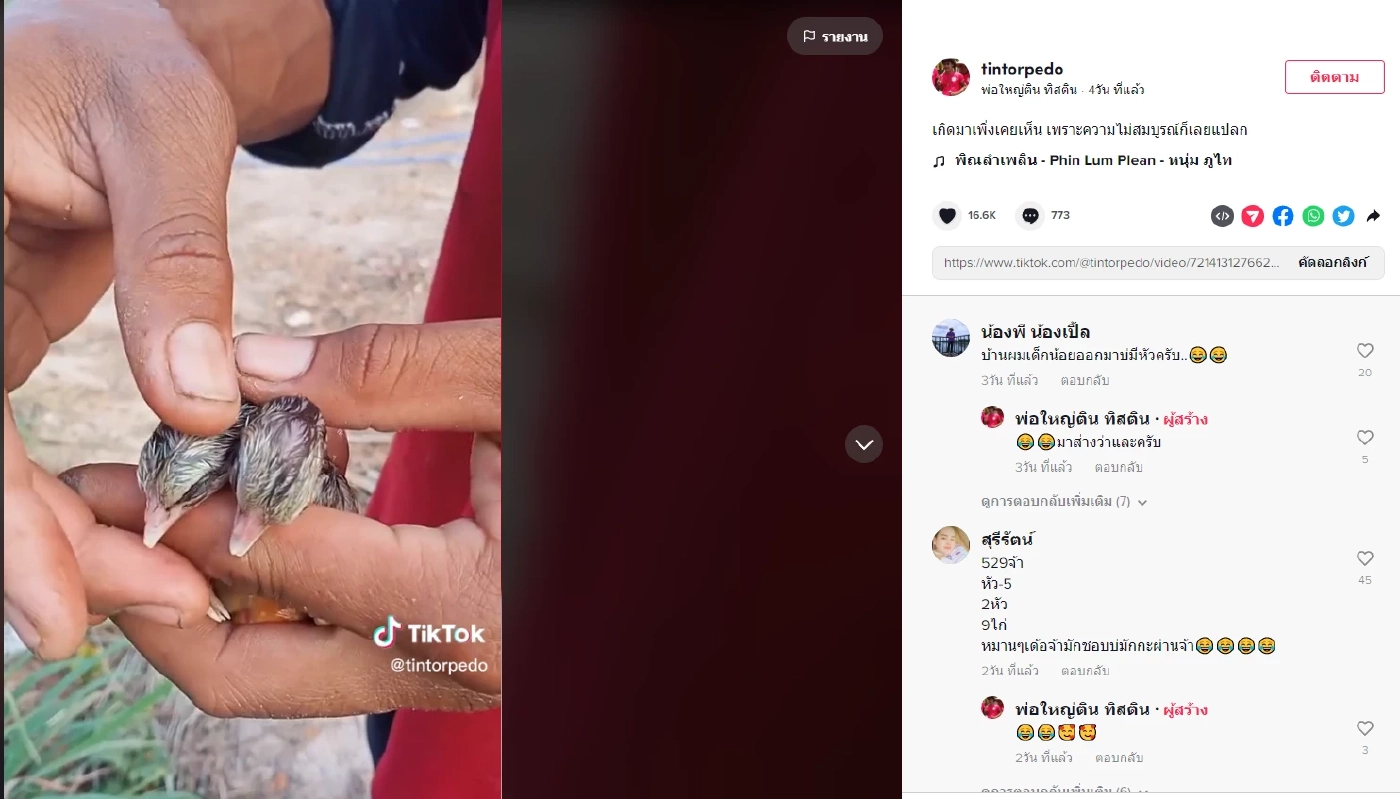 รวมเลขเด็ดเลขดัง หวยงวด1/4/66 เลขเด็ดนายก เลขปฏิทินจีน เลขไหนมาแรงจัดมาครบ 