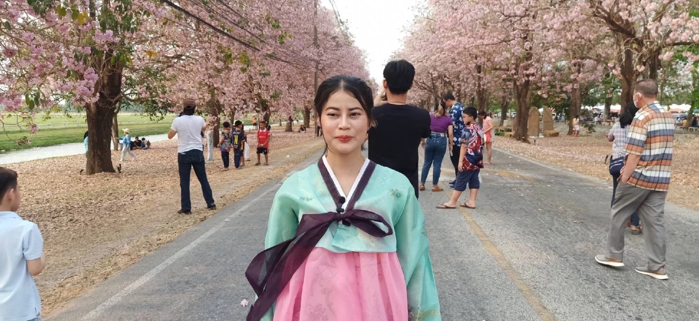 นทท. แห่ชมความงาม ดอกชมพูพันธุ์ทิพย์ บานสะพรั่ง ที่ ม.เกษตร กำแพงแสน