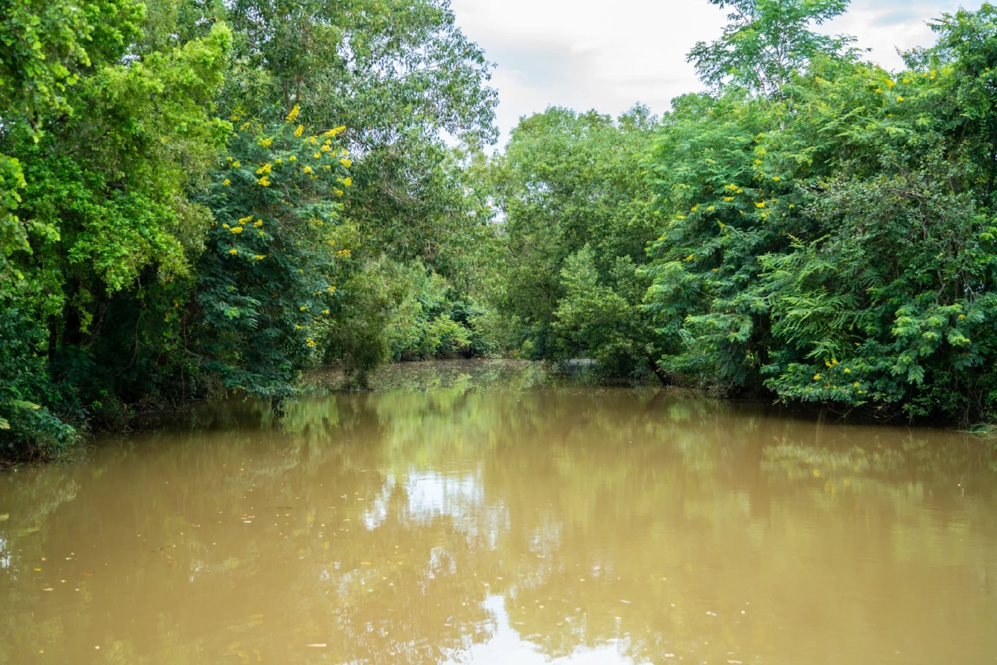 ท่องเที่ยวเชิงวัฒนธรรม ที่ชุมชนผ้าย้อมครามบ้านกุดจิก จ.สกลนคร