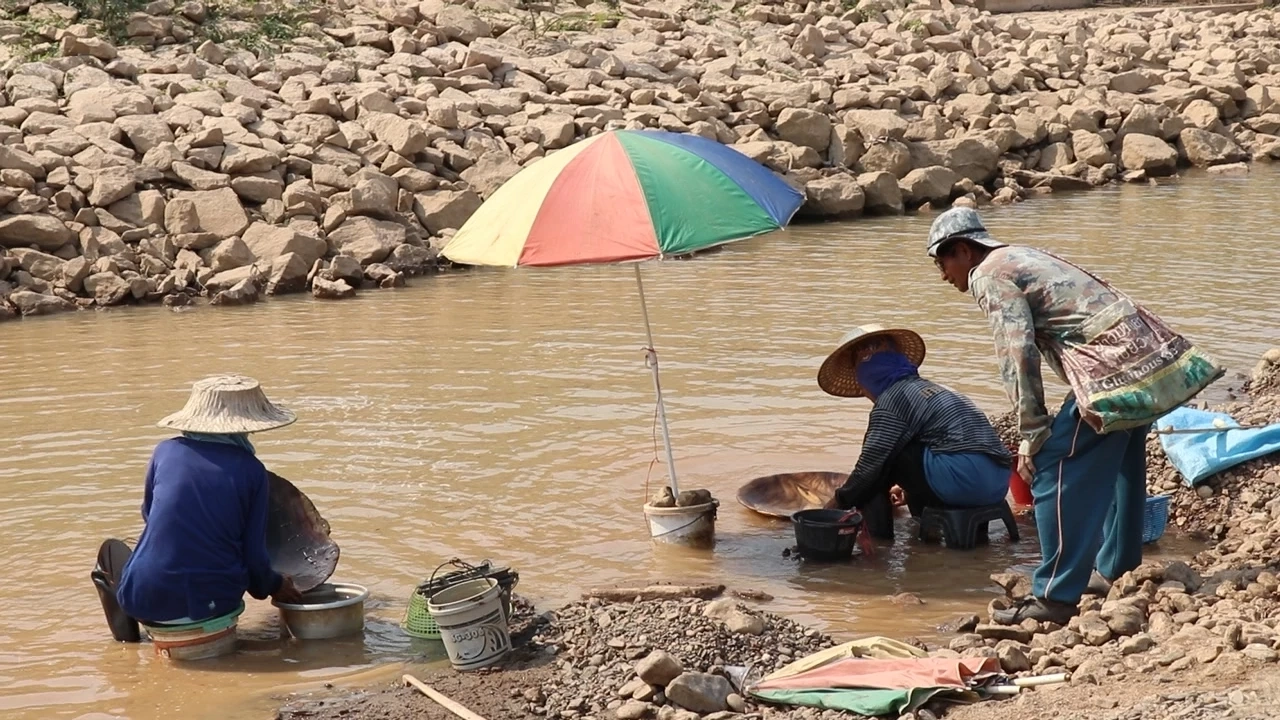 น้ำโขงแห้ง ชาวบ้านปากชม แห่ร่อนทอง สร้างรายได้งาม วันละ 1 พันบาท