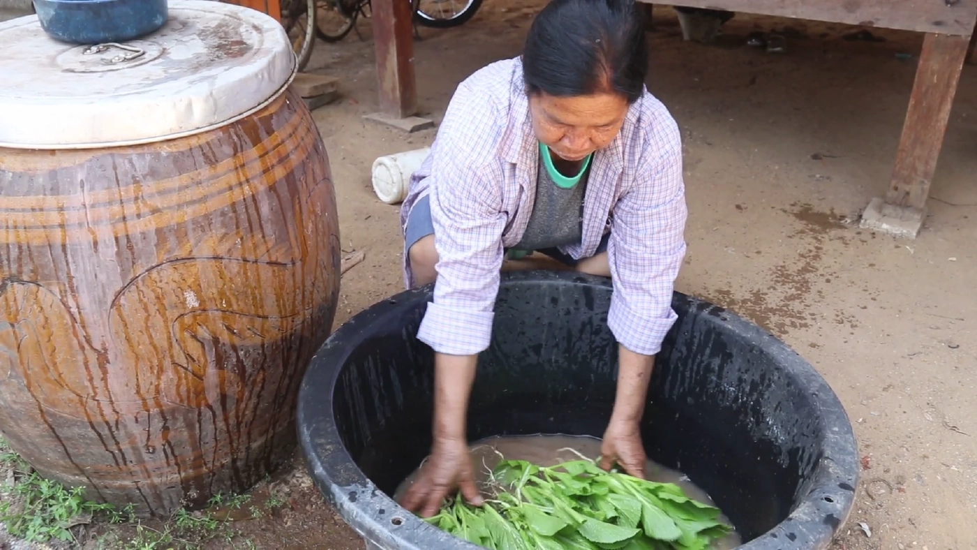 ชาวพิจิตร นำขยะเปียกปลูกผักสวนครัว ลดรายจ่ายและขยะในชุมชน