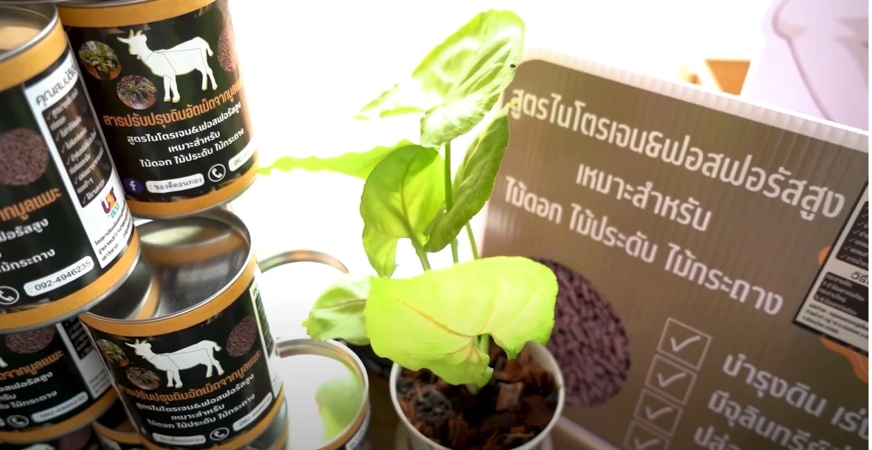 แม็กกี้ อาภา พาเที่ยวไหว้พระ พิษณุโลก แถมยังร่วมกิจกรรมรักษ์โลก 