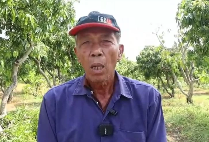 นายชลอ การสมพิศ เกษตรกรผู้ปลูกมะม่วง 