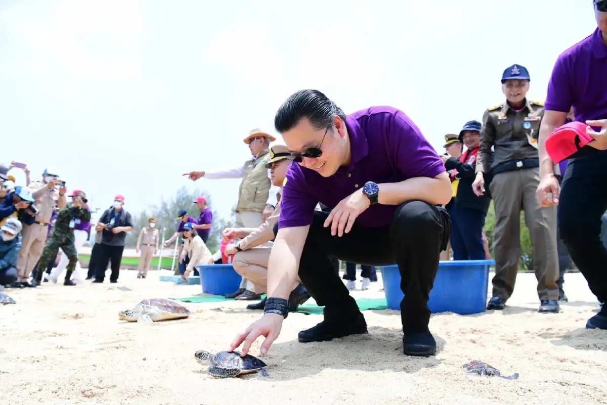 ร่วมปล่อยเต่า บริเวณหน้าหาดทิศตะวันออกของเกาะแสมสาร 
