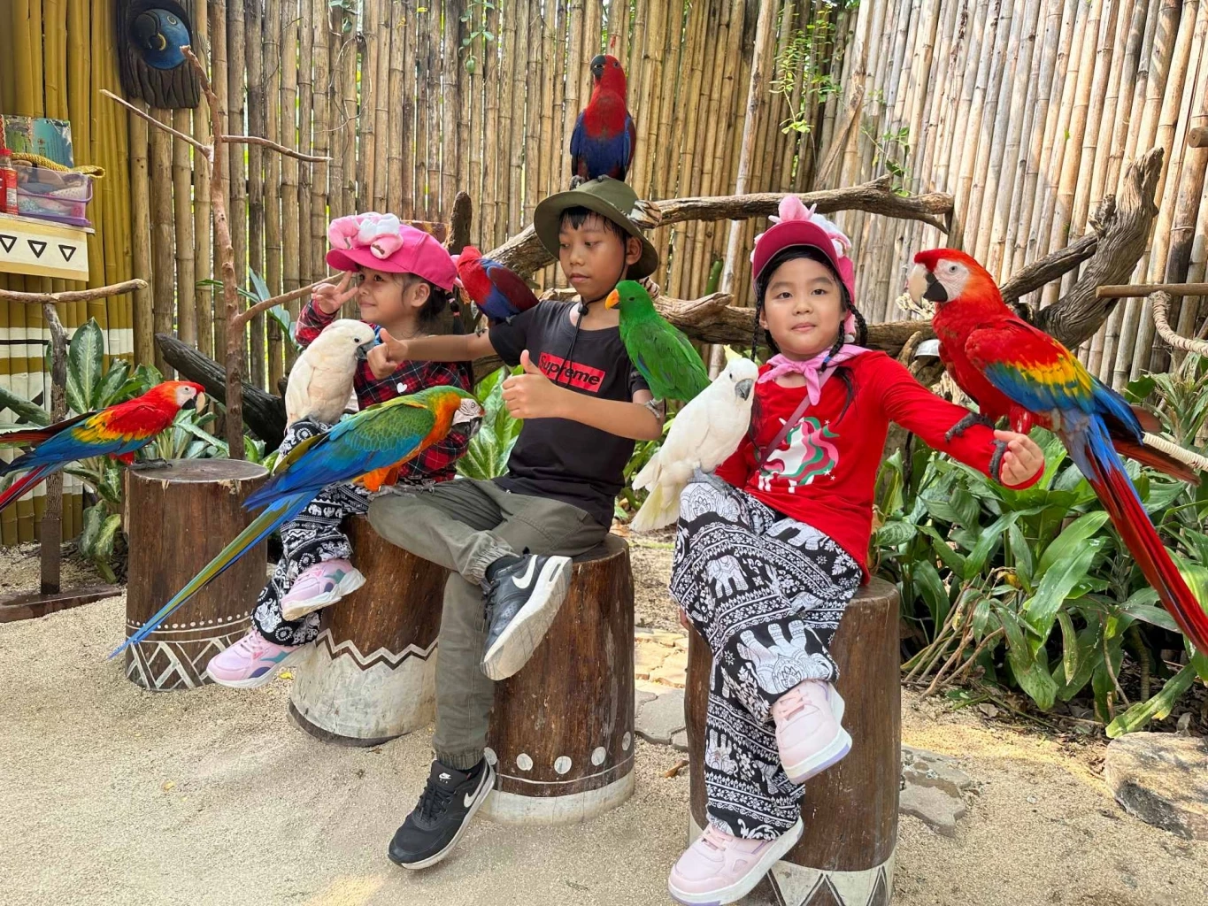 Safari Feeding หนึ่งเดียวในไทย! พิสูจน์ความกล้าใกล้ชิดนักล่า Predator