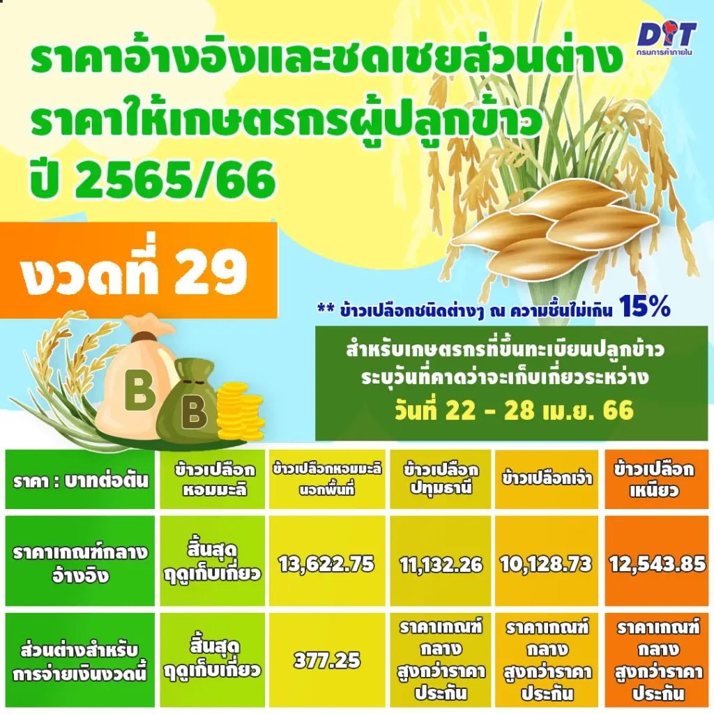 ชาวนาเช็ก! เคาะแล้วเงินชดเชยราคาข้าวงวด 29 ข้าวชนิดไหนยังได้รับชดเชยบ้าง