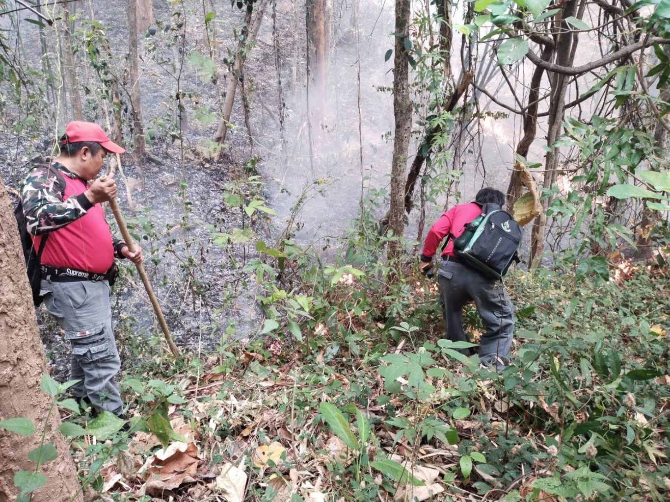 "ไฟป่า" แม่ฮ่องสอนวิกฤต อ.ปาย อยู่ท่ามกลางหมอกควัน - ไฟป่า มาแล้ว 50 วัน