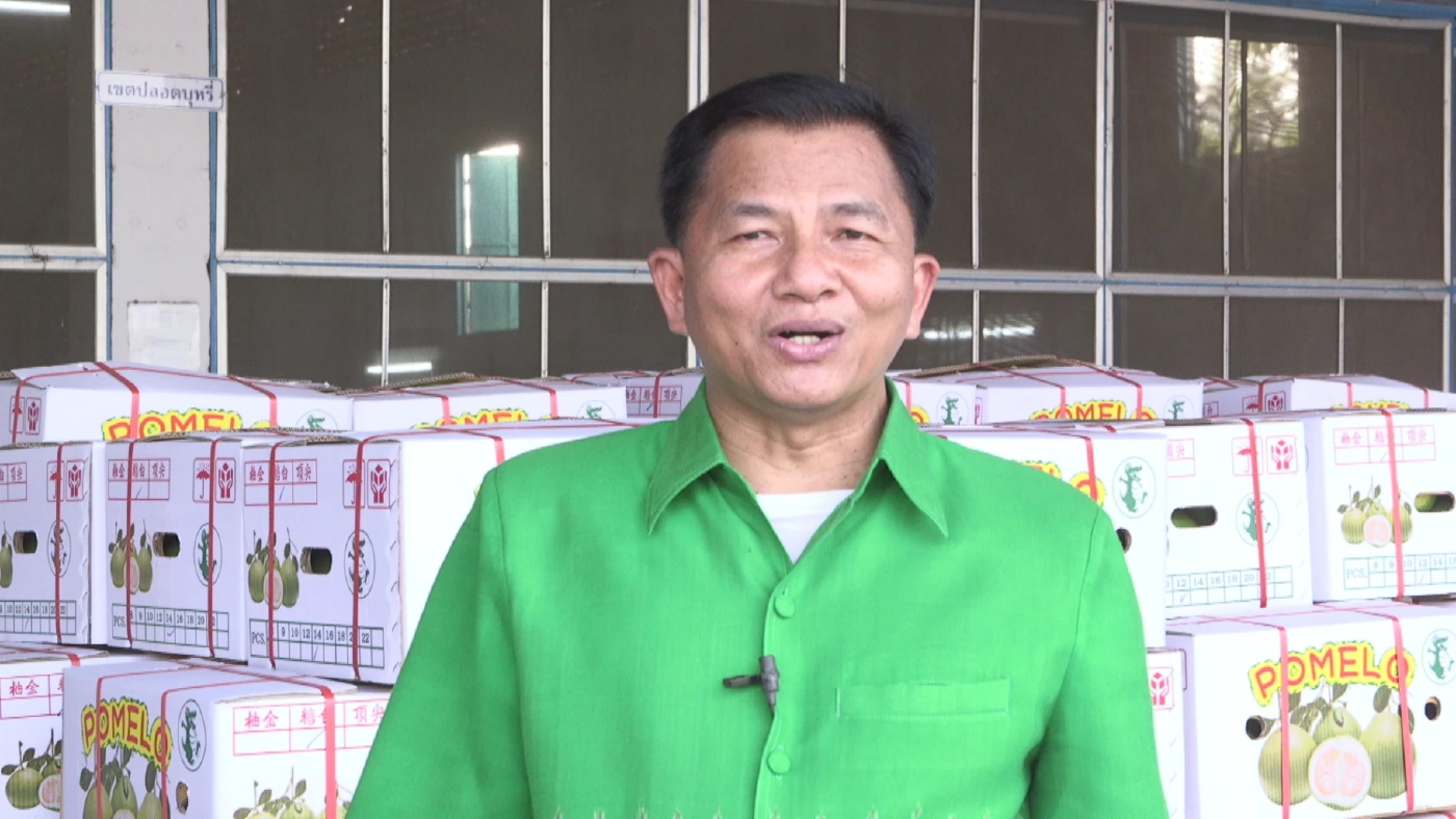ตลาดส่งออก "ส้มโอ" อนาคตยังสดใส ทำเงินปีละกว่า 400 ล้านบาท
