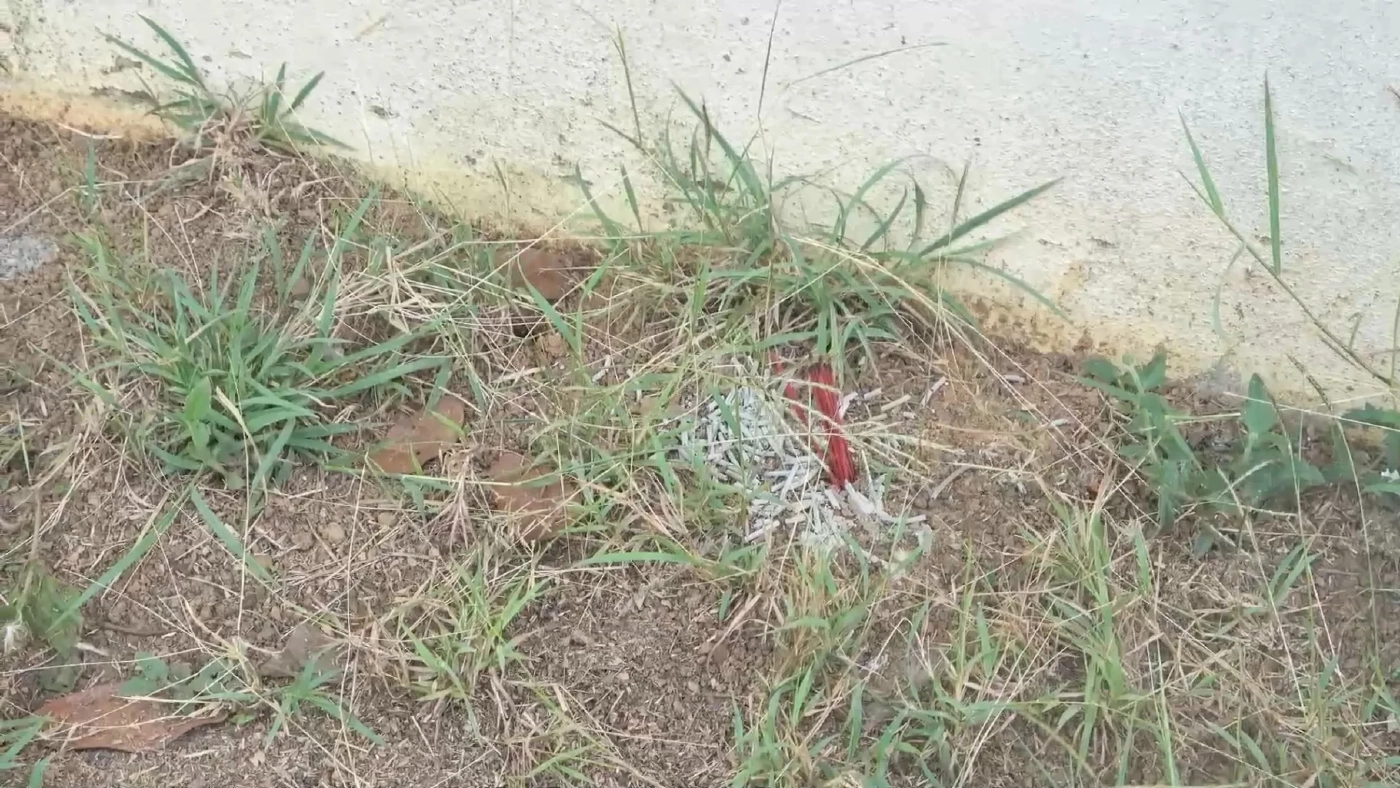 เผยคลิปคืนปาร์ตี้ ก่อน "อิงดาว เสียงวิหค" เสียชีวิต ครอบครัวเผยไม่ทันตั้งตัว