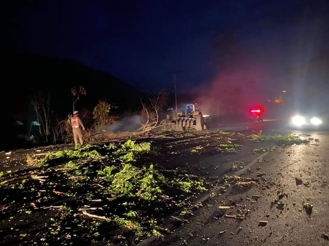 พายุฤดูร้อนถล่มเมืองเลย ต้นไม้หักโค่นทับบ้าน หลายอำเภอไฟฟ้าดับทั้งเมือง