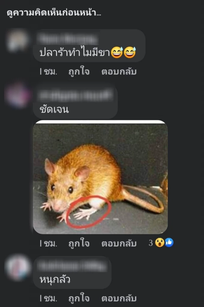 อ้วกแทบพุ่ง! สาวโพสต์ซื้อปลาร้าบอง แถม "ขาหนู" โชคดียังไม่ได้กิน