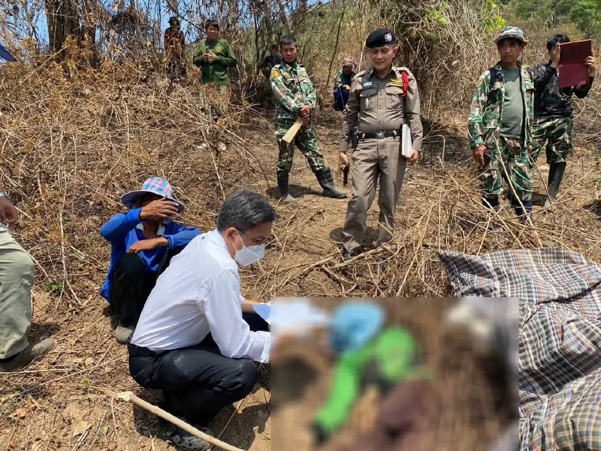"ช้างป่า" เขตรักษาพันธุ์สัตว์ป่าภูหลวง เหยียบชาวบ้านดับคาไร่